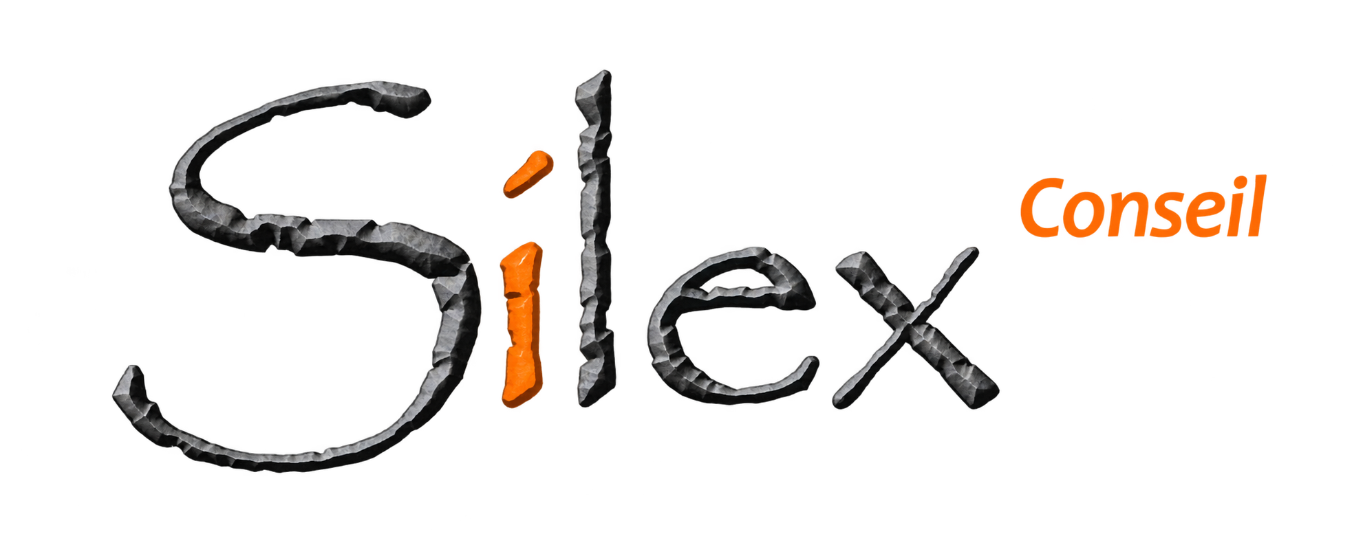 Silex Conseil